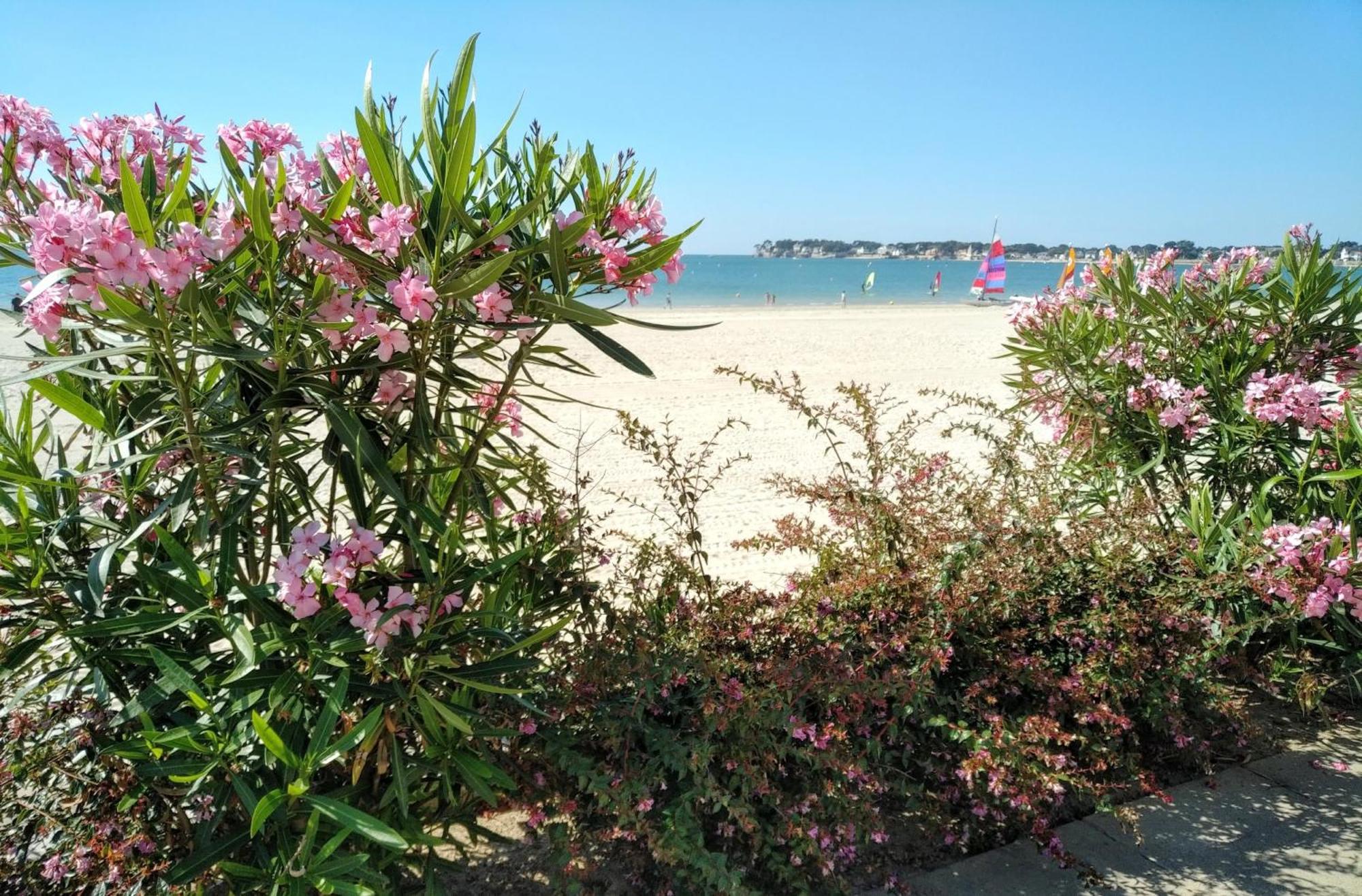 Le Capitole - Studio Plage Benoit Dans Residence Face Mer La Baule Eksteriør bilde